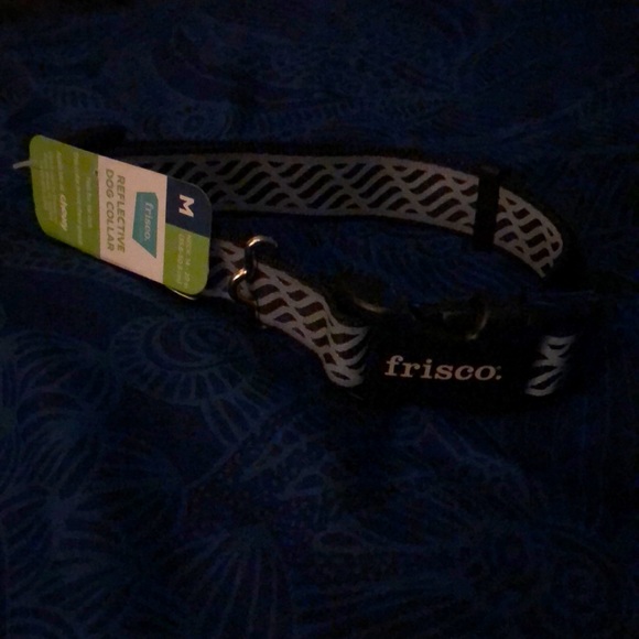 Frisco Reflective Dog Collar {not chew proof} - Picture 1 of 7